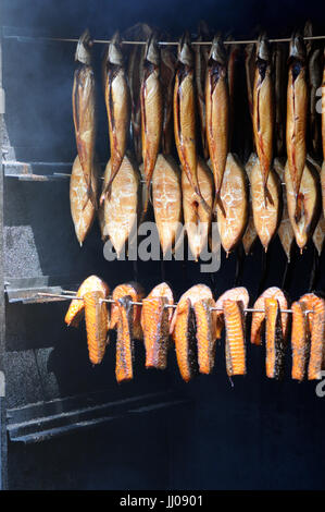 Fresche tradizionali di pesce affumicato in fumatore Foto Stock