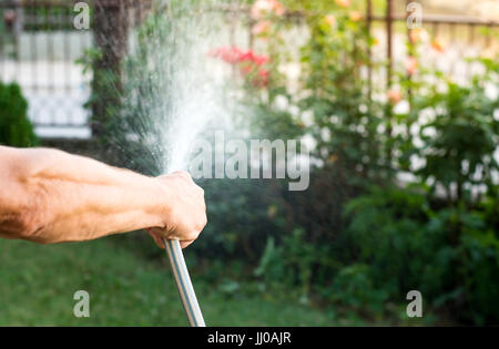 Uomo fiori di irrigazione con un tubo flessibile al di fuori Foto Stock