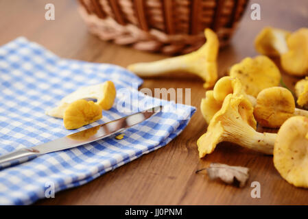 Cesto di fresche e dorate di funghi finferli su tavola Foto Stock