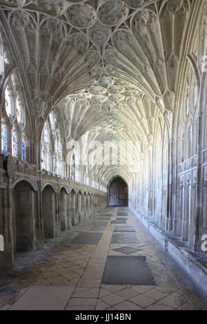 La cattedrale di Gloucester (St Peter's Abbey, Gloucester), Gloucestershire, chiostro, sud a piedi verso est Foto Stock