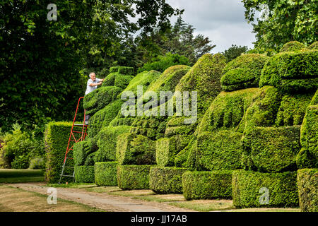 Chris Riley, ritirato il capo giardiniere al posto di Hall, Bexley, torna a rifinire la Queen's bestie, un insieme di boccole topiaria da fashioned dopo ANIMALI ARALDICI Foto Stock