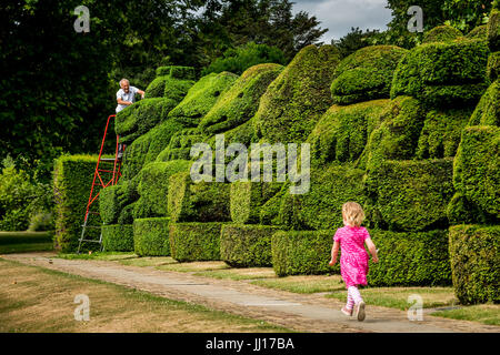 Chris Riley, ritirato il capo giardiniere al posto di Hall, Bexley, torna a rifinire la Queen's bestie, un insieme di boccole topiaria da fashioned dopo ANIMALI ARALDICI Foto Stock