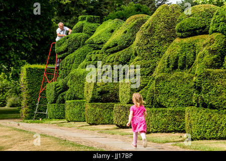 Chris Riley, ritirato il capo giardiniere al posto di Hall, Bexley, torna a rifinire la Queen's bestie, un insieme di boccole topiaria da fashioned dopo ANIMALI ARALDICI Foto Stock