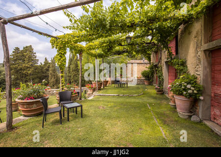 Vite sotto il portico di Gargonza, cittadina toscana, Italia Foto Stock