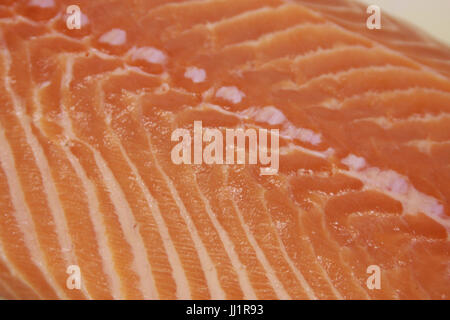 Salmone, pesce, São Paulo, Brasile Foto Stock