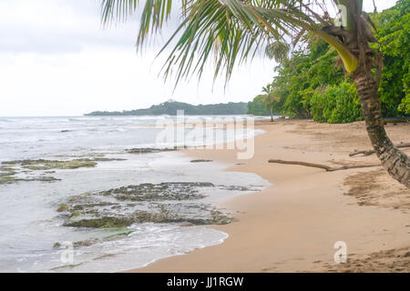 Costa Rica Spiaggia Palme Caibbean Turismo paradiso turistico destinazione Puerto Viejo Caraibi acque turchesi bella spiaggia Foto Stock