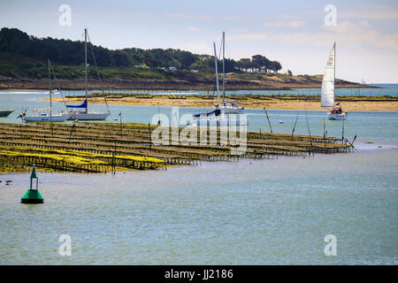 Letti di cozze e yacht in Kervilor estuario in La Trinite sur Mer, Brittany, Francia. Foto Stock