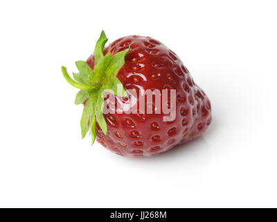Organico rosso appena raccolto homegrown fragola isolati su sfondo bianco Foto Stock