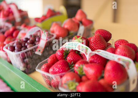 Punnets di appena raccolti, coltivati localmente e in stagione le fragole e il ribes rosso di Wexford in Irlanda. Foto Stock