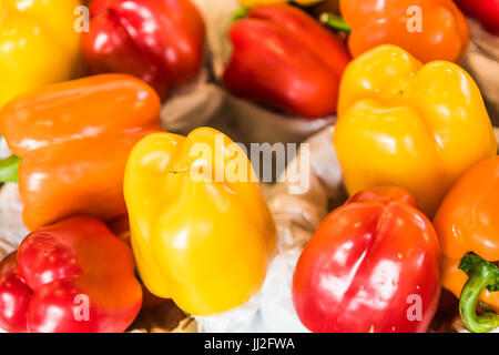 Primo piano della rainbow i peperoni in cesti in esposizione al mercato degli agricoltori Foto Stock