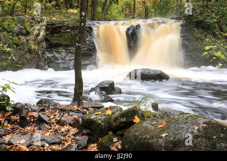 Radice birra cade a Wakefield Michigan nella Penisola Superiore del Michigan. Il tannino color acqua scorre sulla roccia e rovesciamento di liquidi nel torrente della piantatrice Foto Stock