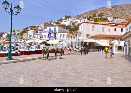 Il paesaggio del porto di Hydra Island, con la tradizionale asini, il solo mezzo di trasporto Foto Stock