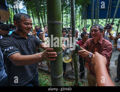 (170718) -- ANJI, luglio 18, 2017 (Xinhua) -- gli esperti del turismo di ottenere vini di bambù in Zhangwu Township della contea di Anji, est della Cina di Provincia dello Zhejiang, luglio 18, 2017. Decine di esperti del turismo partecipi ad un turismo rurale convenzione visitato Zhangwu township di martedì. Alcuni 400 esperti provenienti da oltre 10 paesi e regioni hanno partecipato al turismo convention di Anji il lunedì e il martedì. (Xinhua/Xu Yu) (MCG) Foto Stock