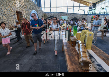 (170718) -- ANJI, luglio 18, 2017 (Xinhua) -- esperti visitare un turismo spedizione hub in Zhangwu Township della contea di Anji, est della Cina di Provincia dello Zhejiang, luglio 18, 2017. Decine di esperti del turismo partecipi ad un turismo rurale convenzione visitato Zhangwu township di martedì. Alcuni 400 esperti provenienti da oltre 10 paesi e regioni hanno partecipato al turismo convention di Anji il lunedì e il martedì. (Xinhua/Xu Yu) (MCG) Foto Stock