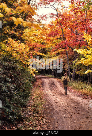 Escursionista femmina, cadono scena, donna con zaino cammina per strada di campagna. Arancione, rosso e giallo Foglie sugli alberi. Foto Stock