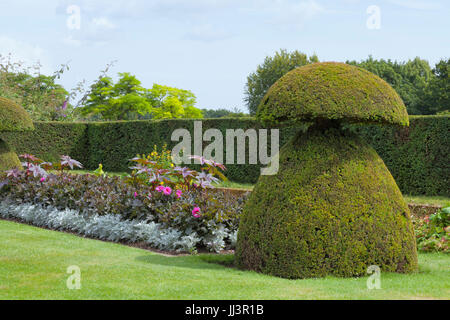 Inglese paesaggistico giardino estivo con un letto floreale, topiaria da in forma a fungo, racchiuso da una siepe tagliati . Foto Stock