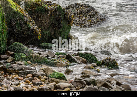 L'acqua arriva a terra sul litorale di Brooklyn Foto Stock