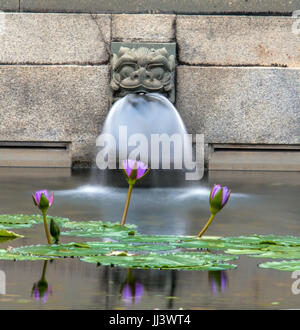 Water Lilies in acqua in una piscina con fontana. Gargoyle nella fontana, tempio buddista Chi Lin Monastero a Kowloon, Hong Kong Foto Stock