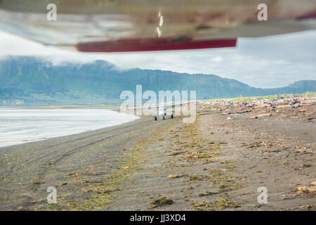 Aeroplano di atterraggio sulla spiaggia, Hallo Bay, Katmai Nationalpark, Alaska, STATI UNITI D'AMERICA Foto Stock