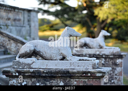Due statue greyhound in un giardino formale Foto Stock