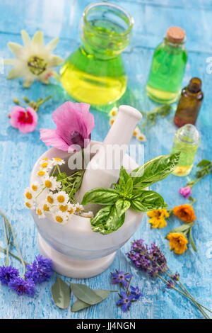 Oli essenziali per un trattamento di aromaterapia con erbe fresche in un mortaio sfondo bianco Foto Stock