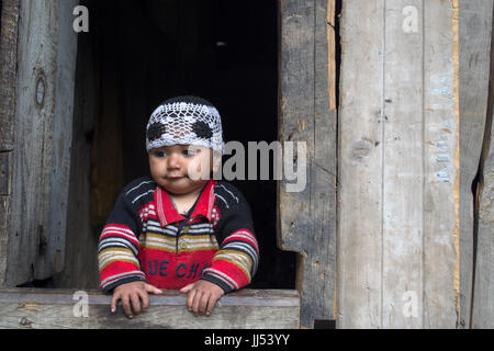 Distretto Ganderbal, Jammu e Kashmir in India. Carino bambino vicino al villaggio di Naranag. Foto Stock