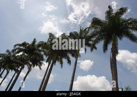 Portal americano, São Paulo, Brasile Foto Stock