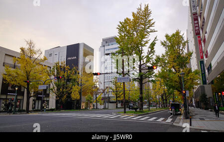 Sendai, Giappone - Dicembre 1, 2016. Strada con molti alberi di autunno a Sendai, Giappone. Sendai è il centro della regione di Tohoku economia, ed è la base del Foto Stock