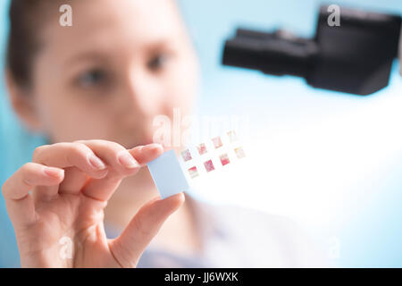 Vetrini per microscopio in mano Foto Stock