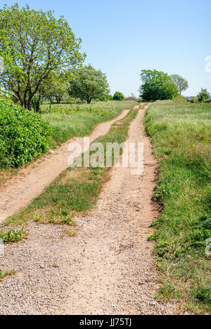 Accidentato country road nel paesaggio aperto. Foto Stock