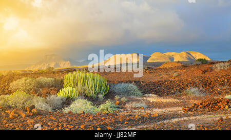 Bella vista panoramica di Tenerife, Isole Canarie Foto Stock