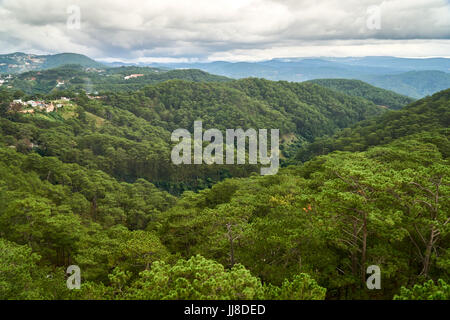 Pineta - angolo di alta vista - dal cavo di Dalat auto al Truc Lam pagoda. Dalat, Vietnam. Con copia spazio. Foto Stock