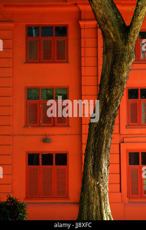 Red Dot Design Museum di parete e albero. Singapore Foto Stock