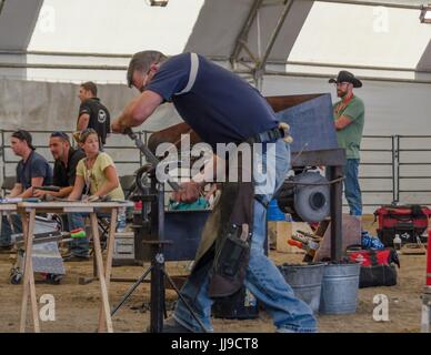 Un concorrente ha 2 ore per creare un set completo di scarpe per un cavallo nel horseshoeing concorrenza a Calgary Stampede. Foto Stock