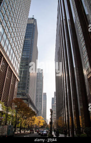 Autunno visualizza in basso marunouchi Street nel cuore del quartiere finanziario, Chiyoda, a Tokyo, Giappone Foto Stock