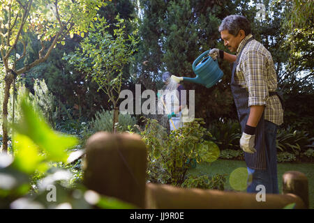 Uomo senior di impianti di irrigazione in giardino in una giornata di sole Foto Stock