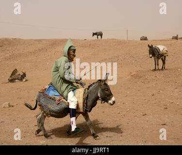 Uomo a cavallo di un asino in una polverosa strada di sabbia nella casbah di M'hamid sud del Marocco Foto Stock