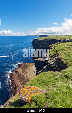 Scogliere sul Brough di Birsay guardando indietro verso la terraferma e Isole Orcadi Scozia, Regno Unito Foto Stock