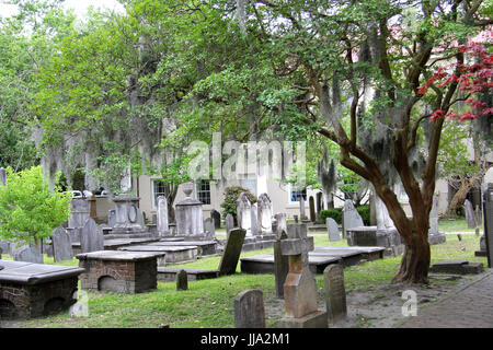 Cimitero di Magnolia di Charleston, Carolina del Sud Foto Stock