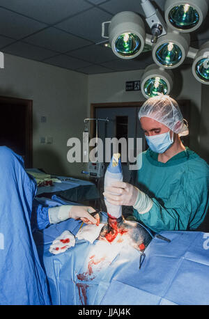 Veterinario, operando su un cane ferito, Blue Cross Animal Hospital, Victoria, London, Regno Unito Foto Stock