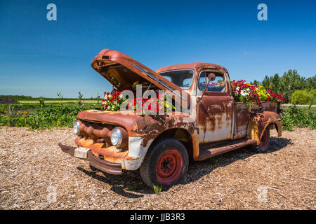 Il Parkside Pioneer Patch presentano storico a Winkler, Manitoba, Canada. Foto Stock