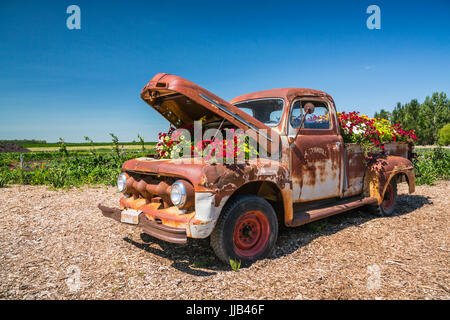 Il Parkside Pioneer Patch presentano storico a Winkler, Manitoba, Canada. Foto Stock