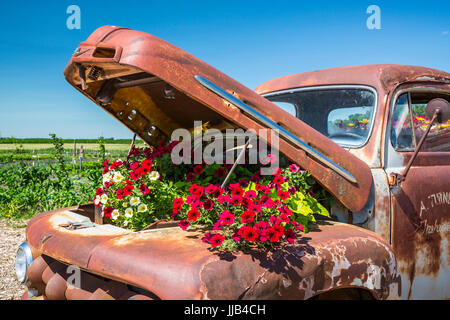 Il Parkside Pioneer Patch presentano storico a Winkler, Manitoba, Canada. Foto Stock