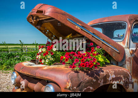 Il Parkside Pioneer Patch presentano storico a Winkler, Manitoba, Canada. Foto Stock