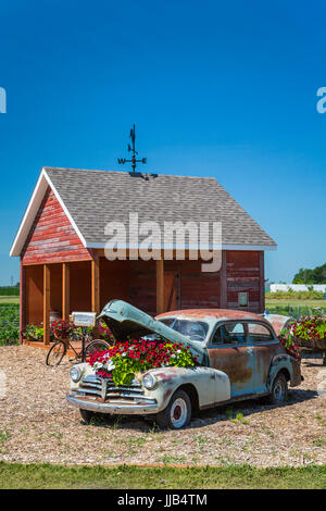 Il Parkside Pioneer Patch presentano storico a Winkler, Manitoba, Canada. Foto Stock