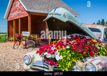 Il Parkside Pioneer Patch presentano storico a Winkler, Manitoba, Canada. Foto Stock