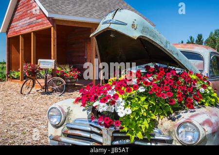 Il Parkside Pioneer Patch presentano storico a Winkler, Manitoba, Canada. Foto Stock