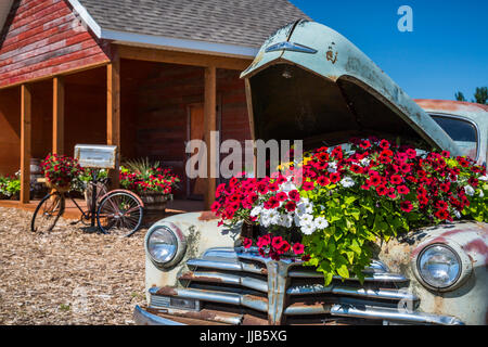 Il Parkside Pioneer Patch presentano storico a Winkler, Manitoba, Canada. Foto Stock