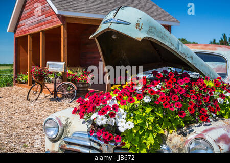 Il Parkside Pioneer Patch presentano storico a Winkler, Manitoba, Canada. Foto Stock