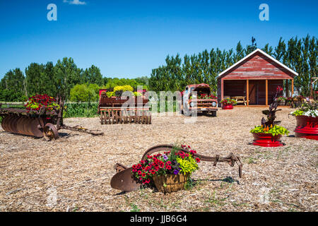 Il Parkside Pioneer Patch presentano storico a Winkler, Manitoba, Canada. Foto Stock